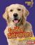 Golden Retrievers Golden Retrievers