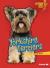 Yorkshire Terriers Yorkshire Terriers