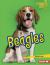 Beagles Beagles