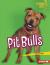 Pit Bulls Pit Bulls