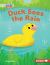 Duck Sees the Rain