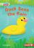 Duck Sees the Rain