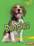 Beagles Beagles
