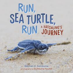 Run, Sea Turtle, Run : A Hatchling's Journey