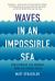 Waves in an Impossible Sea : How Everyday Life Emerges from the Cosmic Ocean