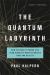 The Quantum Labyrinth : How Richard Feynman and John Wheeler Revolutionized Time and Reality