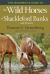 The Hoofprints Guide to the Wild Horses of Shackleford Banks and Vicinity, NC