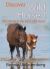 Discover Wild Horses! the Kids Guide to the East Coast Herds