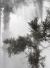Ben Thorp Brown: Cura's Garden
