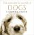The Wonderful World of Dogs