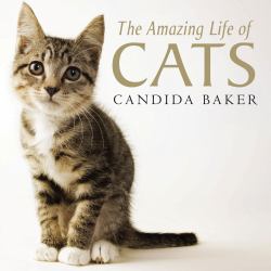 The Amazing Life of Cats