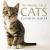 The Amazing Life of Cats