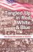 Tangled up in Red, White, and Blue : New Social Movements in America