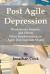Post Agile Depression : Weaknesses, Impacts, and Effects When Implementing an Agile Development Model