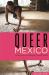 Queer Mexico : Cinema and Television since 2000