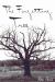 The Forgetting Tree : A Rememory