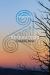 Retribution : Triskelia Series #2