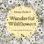 Wonderful Wildflowers : A Coloring Book and Floral Quest