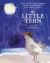 The Little Tern : A Story of Insight