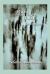 Music from the Lake : And Other Essays