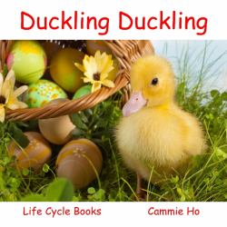 Duckling Duckling