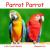 Parrot Parrot