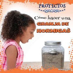 Cómo Hacer una Granja de Hormigas