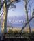 Eucalypts : A Celebration