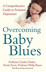 Overcoming Baby Blues : A Comprehensive Guide to Perinatal Depression