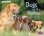 Dogs and Their Puppies : A 4D Book