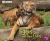 Tigers and Their Cubs : A 4D Book Tigers and Their Cubs : A 4D Book