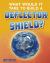 What Would It Take to Build a Deflector Shield? What Would It Take to Build a Deflector Shield?