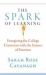 The Spark of Learning: Energizing the College Classroom with the Science of Emotion