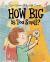 How Big Is Too Small?