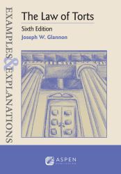 Examples and Explanations for the Law of Torts