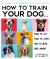 How to Train Your Dog : A Relationship-Based Approach for a Well-Behaved Dog