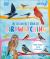 The Children's Book of Birdwatching : Nature-Friendly Tips for Spotting Birds