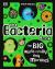 The Bacteria Book : Gross Germs, Vile Viruses and Funky Fungi