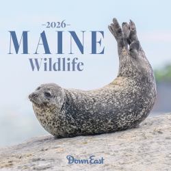2026 Maine Wildlife Wall Calendar