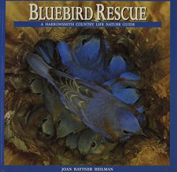 Bluebird Rescue : Country Life Nature Guide