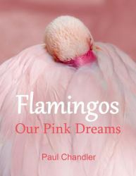 Flamingos : Our Pink Dreams