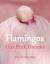 Flamingos : Our Pink Dreams