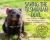 Saving the Tasmanian Devil : How Science Is Helping the World's Largest Marsupial Carnivore Survive