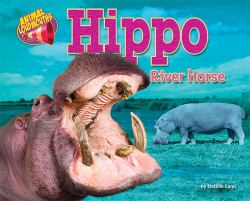 Hippo : River Horse