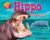 Hippo : River Horse