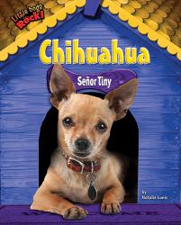 Chihuahua : Señor Tiny