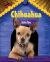 Chihuahua : Señor Tiny