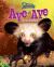 Aye-Aye : An Evil Omen
