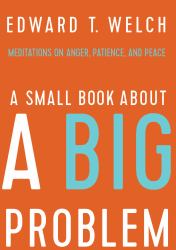 A Small Book about a Big Problem : Meditations on Anger, Patience, and Peace
