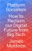 Platform Socialism : How to Reclaim Our Digital Future from Big Tech
